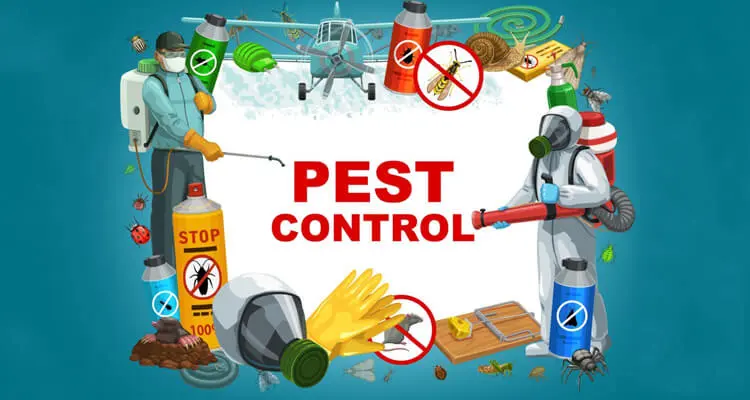 When Should You Start Worrying About A Flea Infestation In Your Edwardsville, IL Home?
