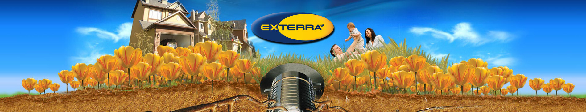 Exterra Termite Control in Caseyville IL