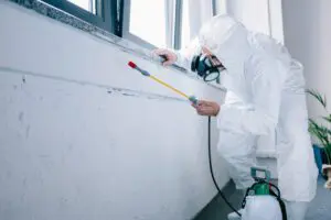 spraying for bugs in your home during the winter