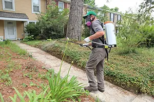 effective pest control spraying services Fairview Heights, IL