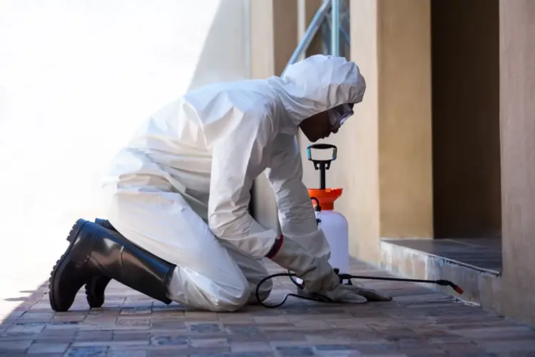 perimeter spraying pest control services Fairview Heights, IL
