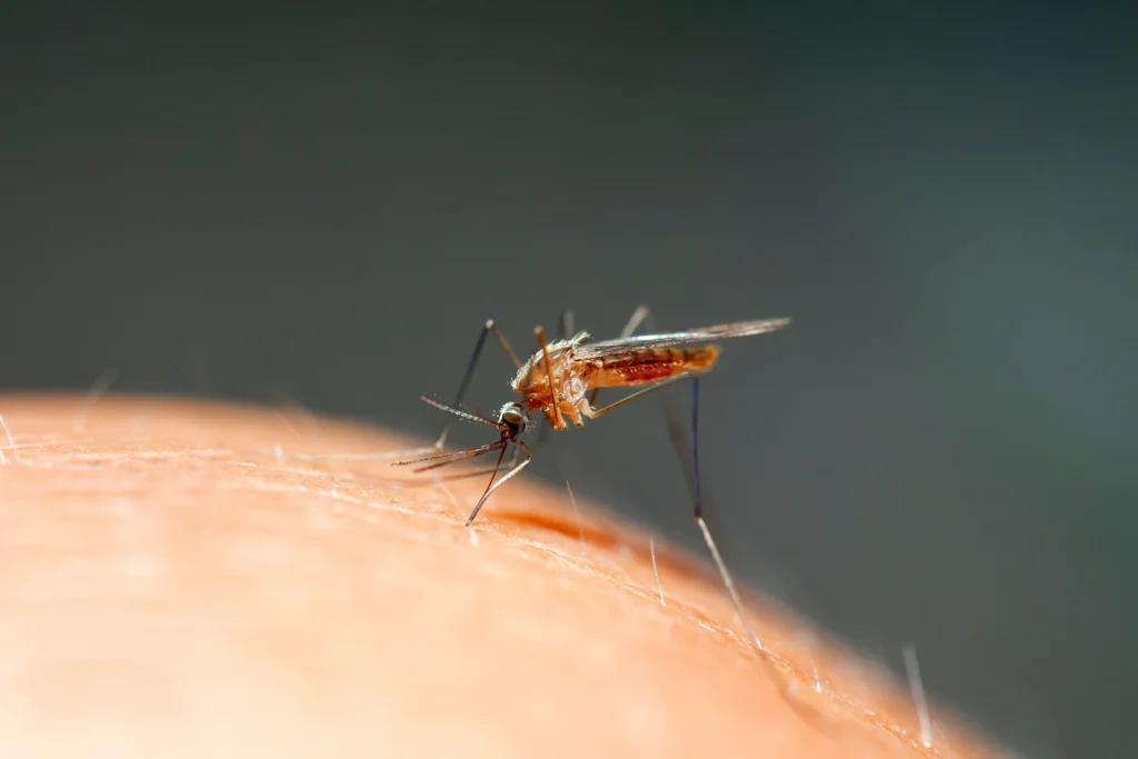 Fairview Heights, IL mosquito control services available