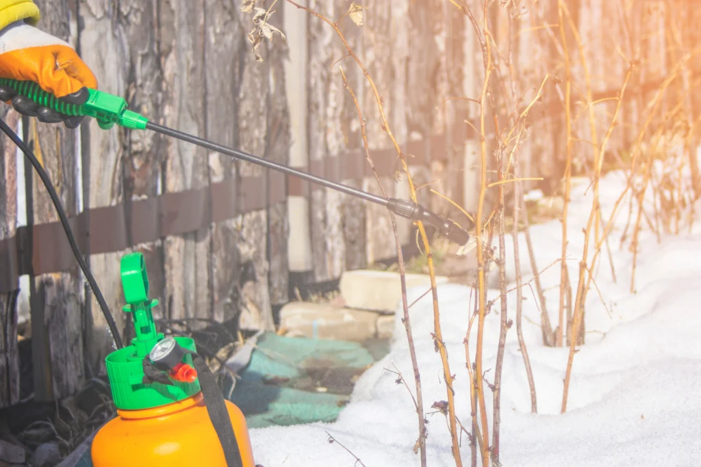 keep your Glen Carbon, IL home safe from pest after the holidays