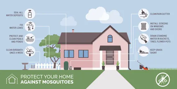 Protect Home From Mosquitoes Caseyville IL