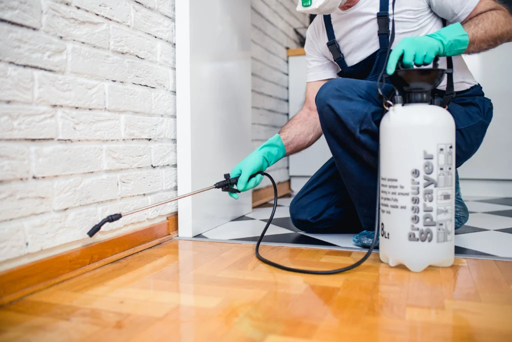 Caseyville, IL keep home safe from winter pests this summer
