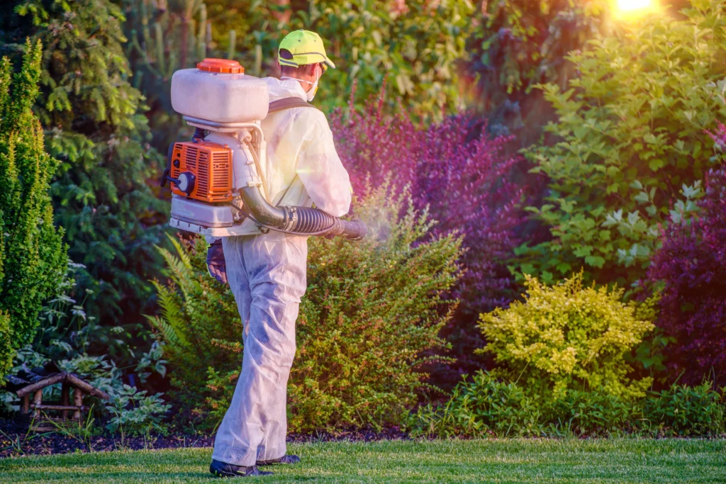 keep your O’Fallon, IL home pest-free this spring