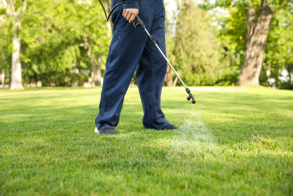 Summer Pest control Highland, IL