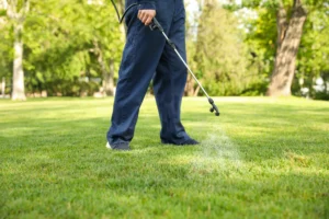 Summer Pest control Highland, IL