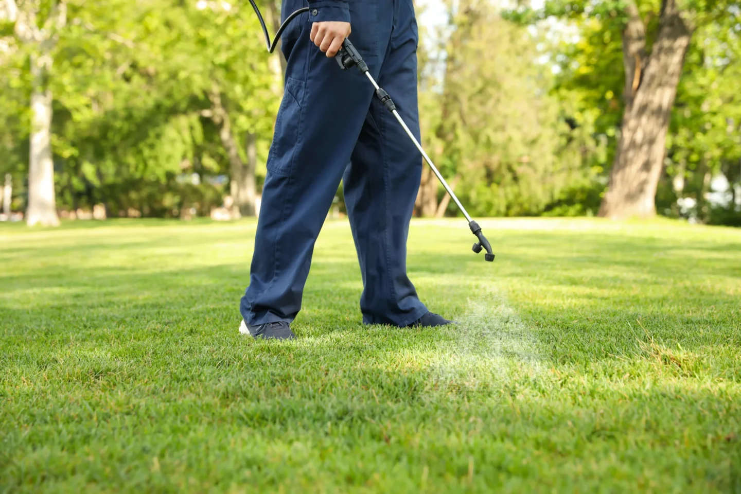 Summer Pest control Highland, IL