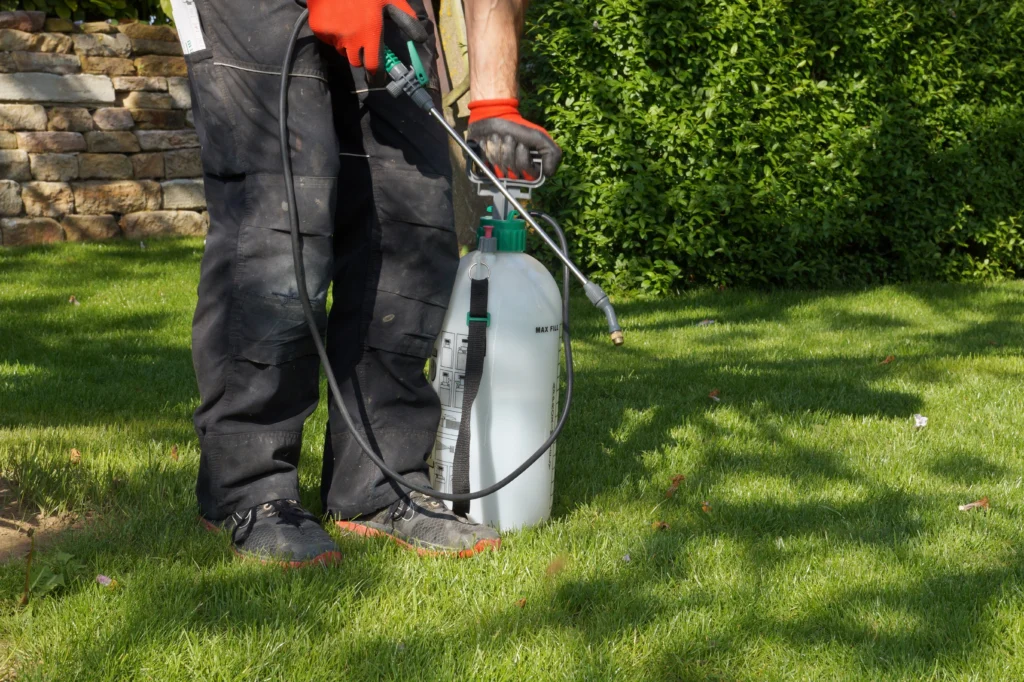 Lebanon, IL pest control around back-to-school time